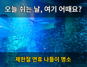 잠실 나들이 코스에 새로 추가된 곳, 알고 계셨나요 8 아쿠아리움 후킹문구 완성1