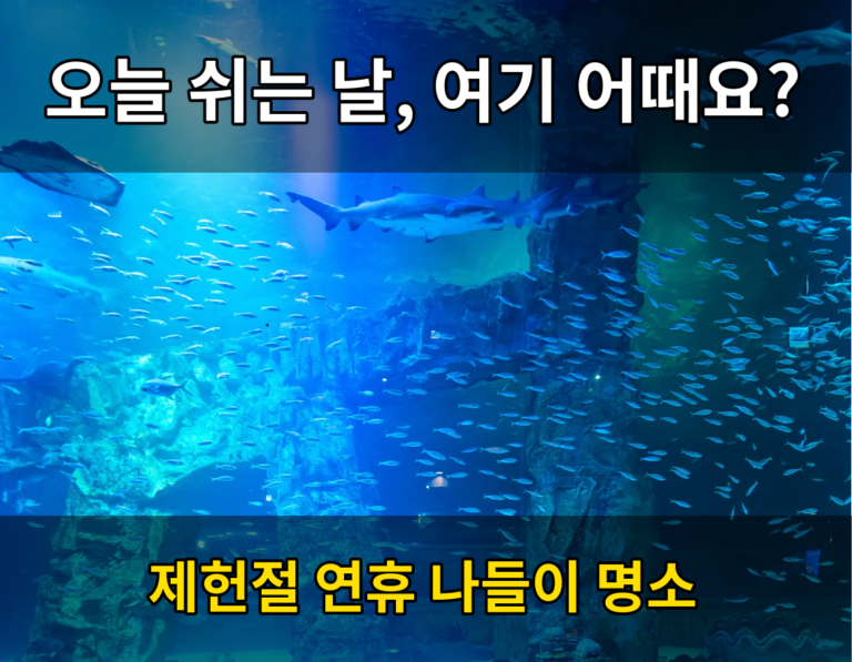 잠실 나들이 코스에 새로 추가된 곳, 알고 계셨나요 8 아쿠아리움 후킹문구 완성1